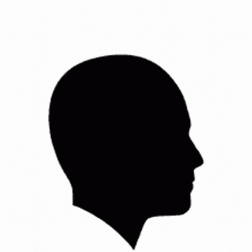 Brain Leaving Head Meme GIF