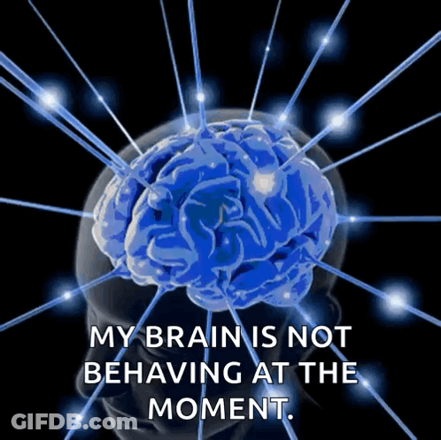 Brain Saying My Brain Is Not Behaving GIF