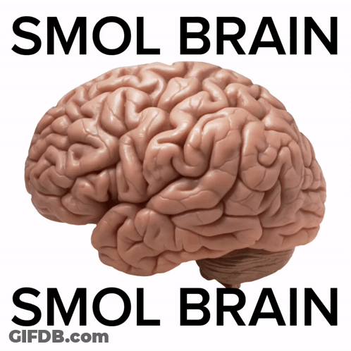 Brain Saying Smol Brain GIF
