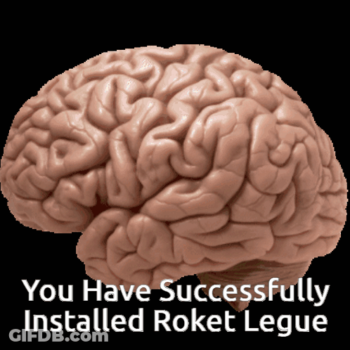 Brain Saying You Have Successfully Installed Roket Legue GIF