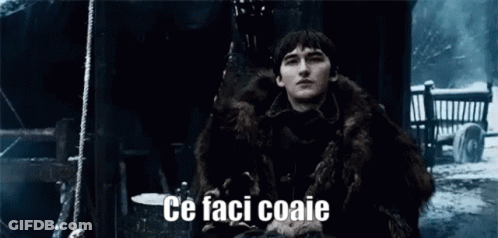 Bran Stark From Game Of Thrones Is Wearing A Fur Coat And A Fur Coat . GIF