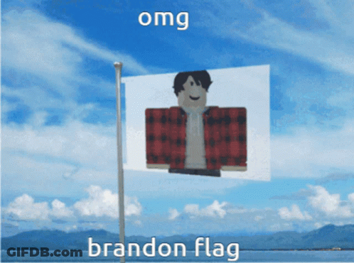 Brandon Flag With Person GIF