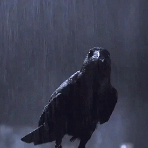 Brandon Lee Catch The Crow GIF