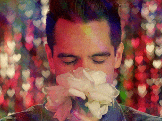 Brandon Urie Giving Flower GIF
