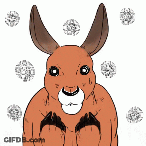 Brandon With Kangaroo GIF