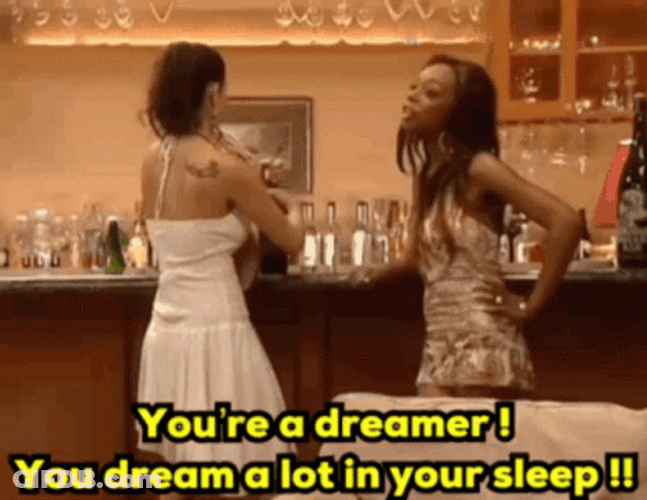 Brash Tiffany Pollard Your A Dreamer GIF