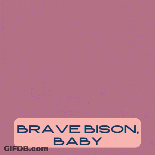 Brave Bison Baby On Pink GIF