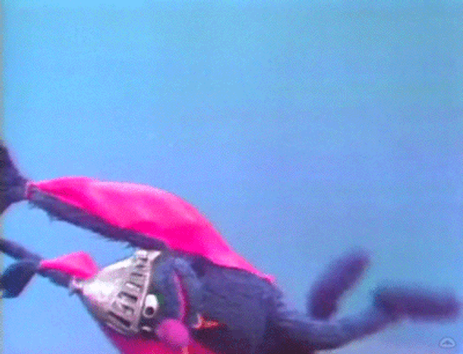 Brave Grover Monster Flying GIF