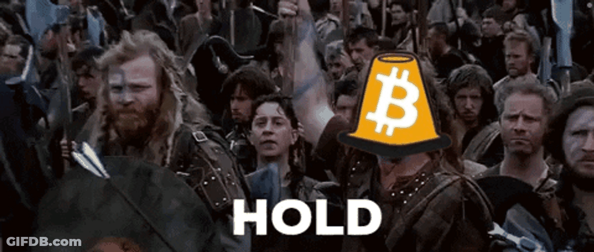 Braveheart Hold By Bouncing Bitcone GIF