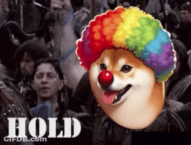Braveheart Hold By Clown Dog GIF