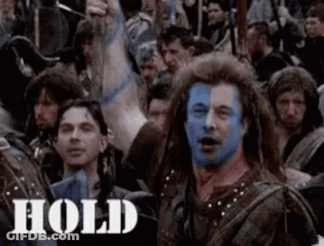 Braveheart Hold By Elon Musk GIF