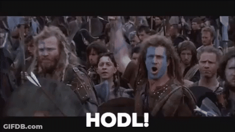 Braveheart Hold Hodl Meme By Mel Gibson GIF