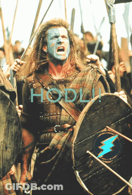 Braveheart Hold Hodl Thunder GIF