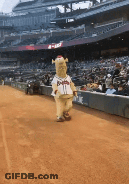 Braves Blooper Running GIF