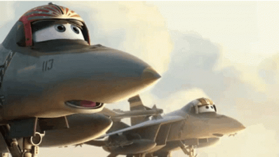 Bravo And Echo Airplane GIF