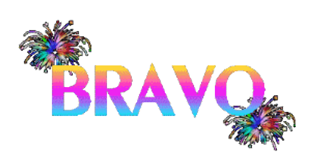 Bravo Celebration Sticker GIF
