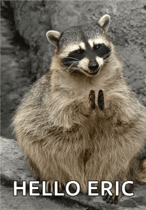 Bravo Clap GIF