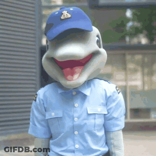 Bravo Zulu Coast Guard GIF