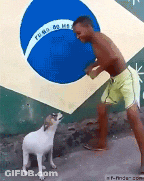 Brazil Dance Dog GIF