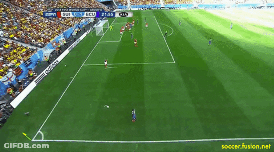 Brazil Ecuador Soccer Stadium GIF