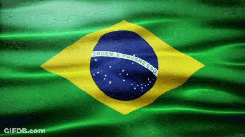 Brazil Flag Ordem E Progresso GIF
