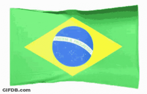 Brazil Flag Ordem Progresso GIF