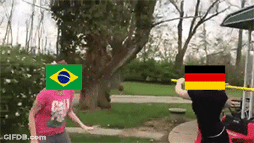 Brazil Meme Flag Fighting With Germany GIF