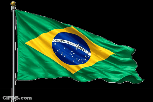 Brazilian Flag Ordem E Progresso GIF