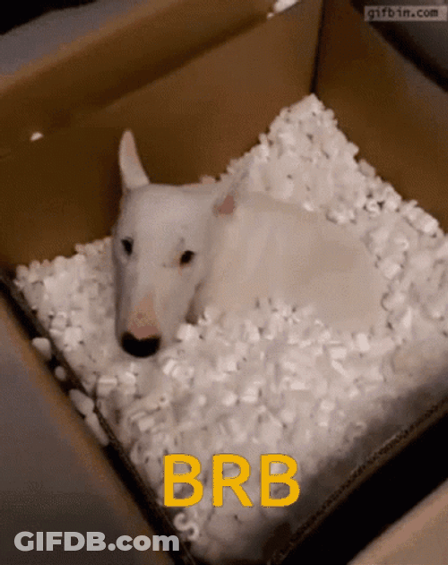Brb Walter Dog Disappearing GIF
