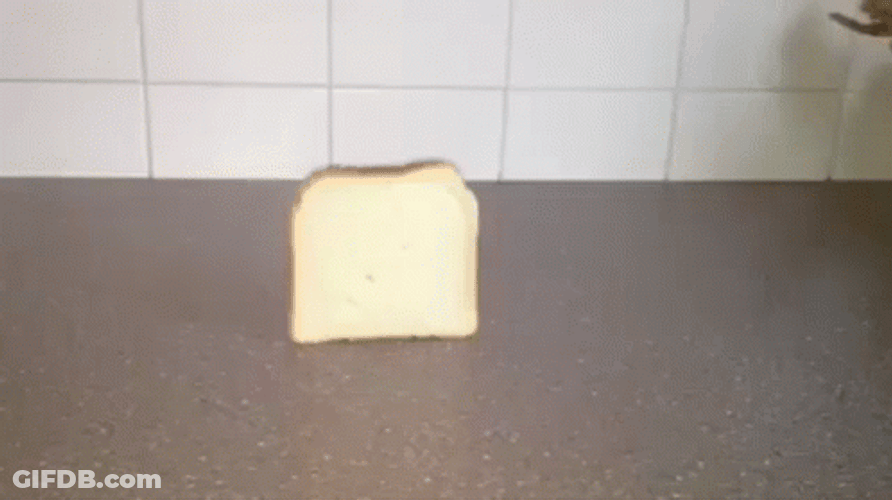 Bread Falling Over Roblox Laughing Meme GIF