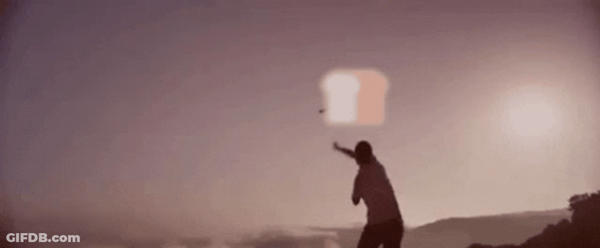 Bread Tossed Out Falling Over GIF