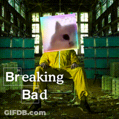 Breaking Bad Walter White GIF