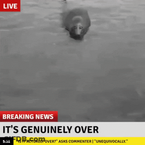 Breaking News It's Genuinely Over GIF