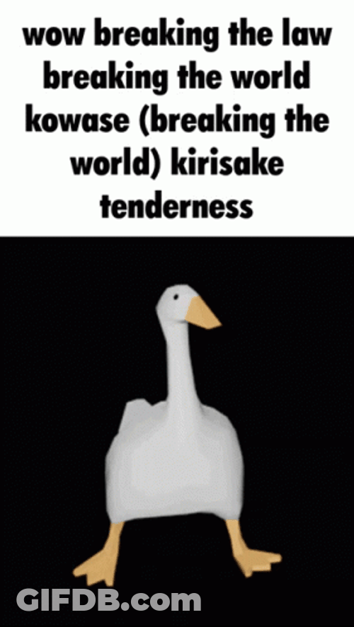 Breaking The World Goose Dancing GIF