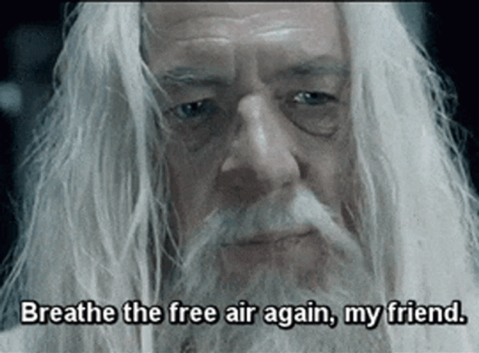 Breathe The Free Air Again My Friend Gandalf GIF