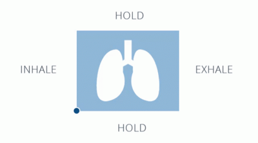 Breathing Exercis Exhale Inhale Lungs GIF