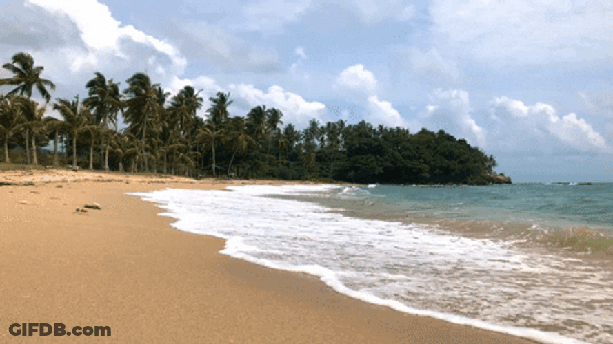 Breathtaking View Of Ocean Waves At Coast GIF