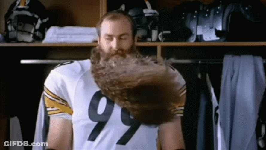 Brett Kiesel Hairy Beard GIF