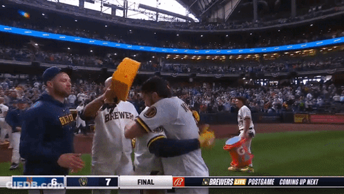 Brewers Baseball Game On TV GIF