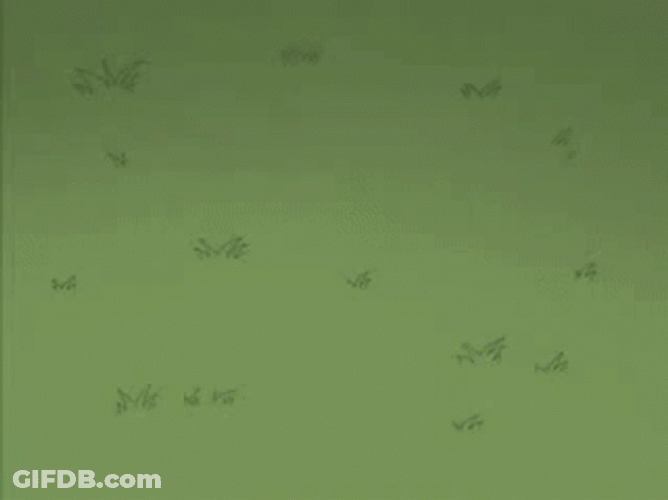Brian And Stewie Broken Record GIF