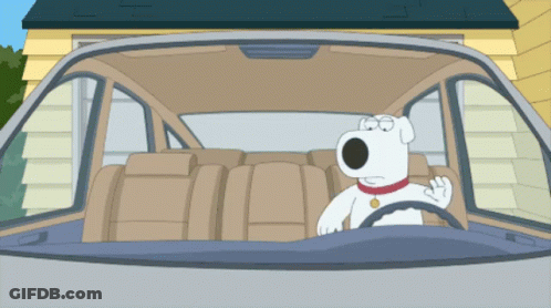 Brian Griffin Sitting In Car GIF