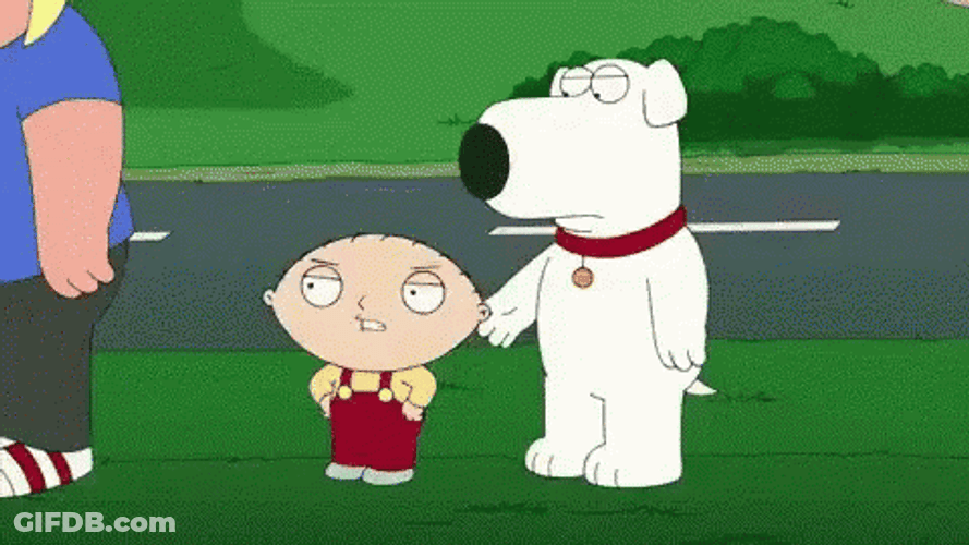 Brian Griffin Wack On Stewie Griffin GIF