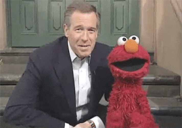 Brian Williams And Elmo GIF