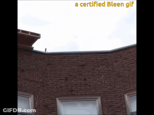 Brick Building With Certified Bleen GIF