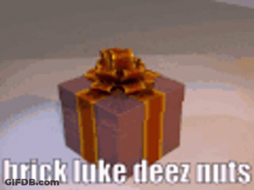 Brick Luke Deez Nuts Gift Box With Bow GIF