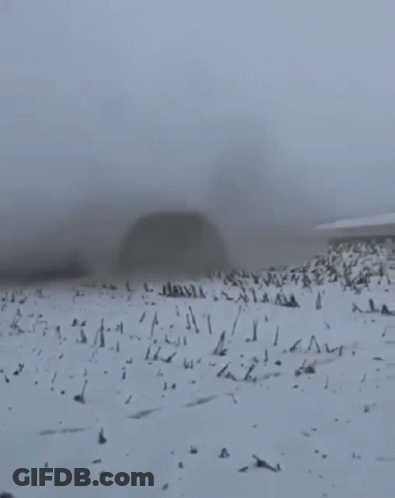 Brick On Snowy Field GIF