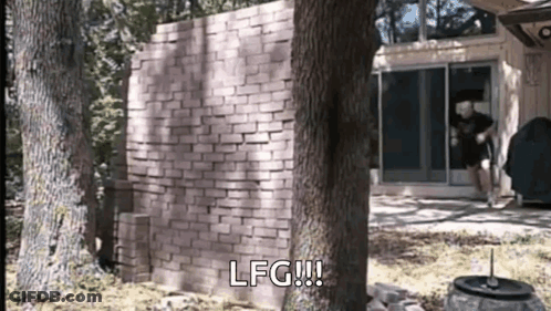 Brick Wall Saying LFG GIF