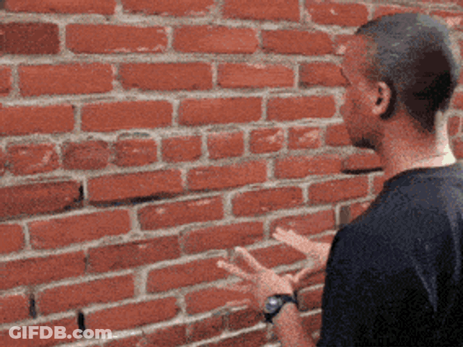 Brick Wall Talking To Wall GIF