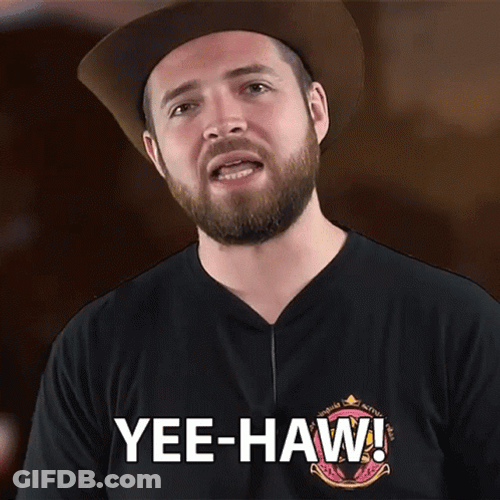 Bricky Cowboy Yeehaw GIF