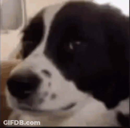 Bride And Groom 2 Days Until Wedding Week GIF